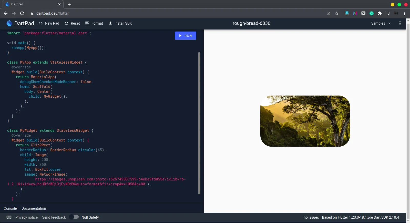 image inside ClipRRect