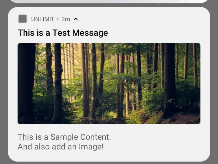 Notification we send